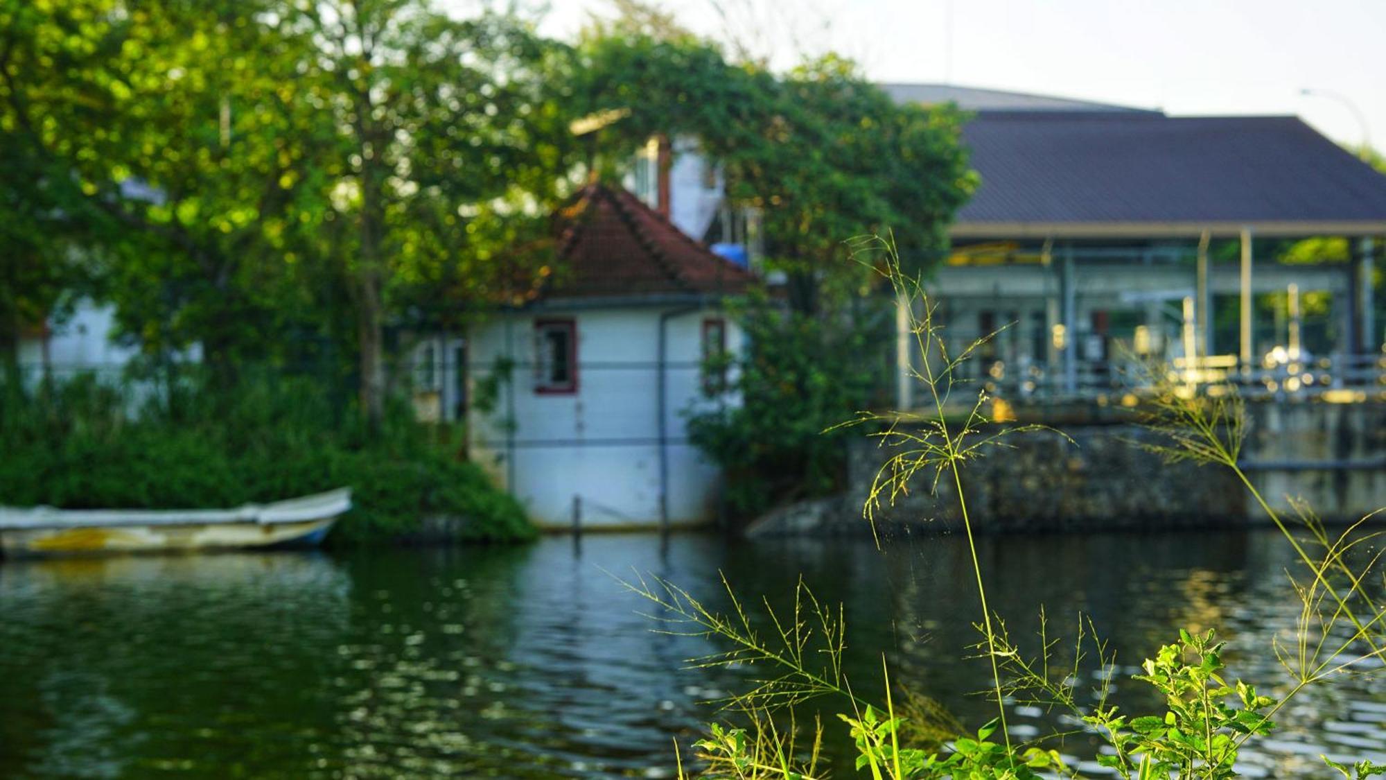 Lake Island Home Stay Dambulla Luaran gambar